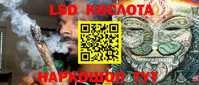 таблы Новозыбков
