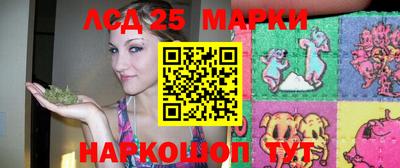 спиды Новокубанск