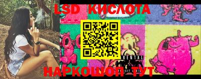 таблы Новозыбков