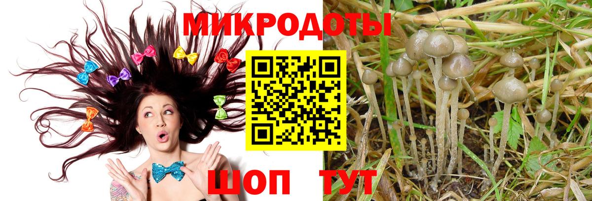 Ульяновск  Галлюциногенные грибы прущие грибы  Галлюциногенные грибы MAGIC MUSHROOMS  Вход с VPN 